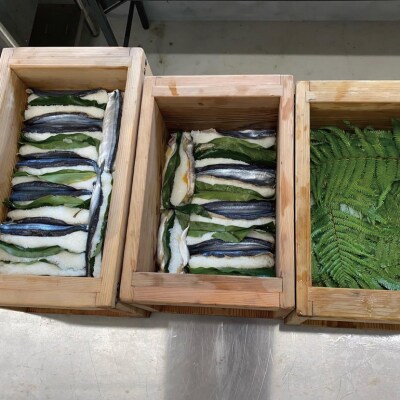 飛雪(ひせつ)米を使用したさんまのなれ寿し(2パック)【2025年12月頃～発送】【hsj006B】