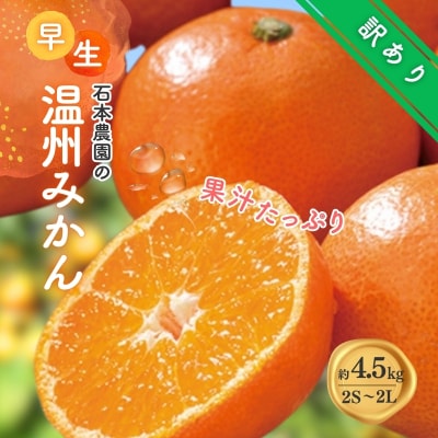 訳あり 2S-2Lサイズおまかせ 石本農園の早生温州みかん 約4.5kg【mis014B】