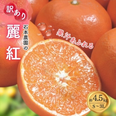 訳あり S-3L サイズおまかせ 石本農園の麗紅 4.5kg【mis017A】