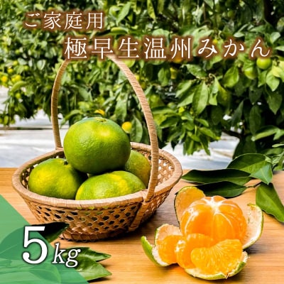 ご家庭用 極早生温州みかん 5kg 2S~Lサイズおまかせ(マルチ栽培・露地混合)【njb700A】