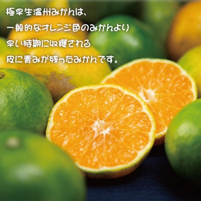 ご家庭用 極早生温州みかん 5kg 2S~Lサイズおまかせ(マルチ栽培・露地混合)【njb700A】