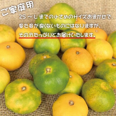 ご家庭用 極早生温州みかん 5kg 2S~Lサイズおまかせ(マルチ栽培・露地混合)【njb700A】