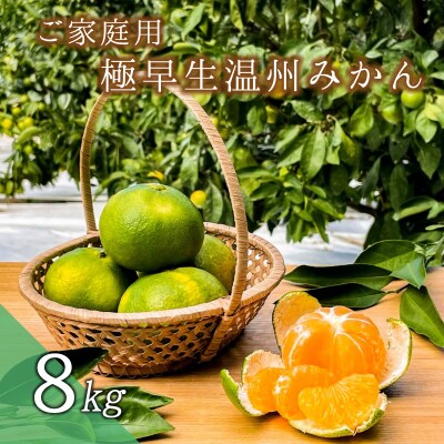 ご家庭用 極早生温州みかん 8kg 2S~Lサイズおまかせ(マルチ栽培・露地混合)【njb701A】