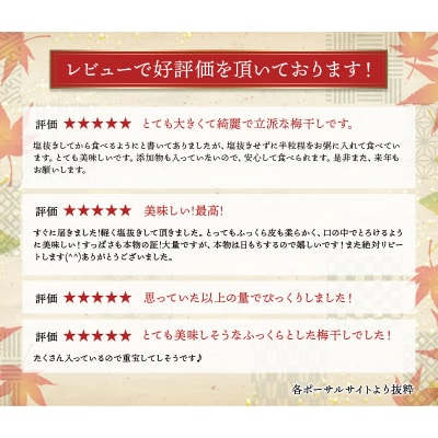 訳あり やま梅農園の南高梅白梅干し1.25kg【ymu004】