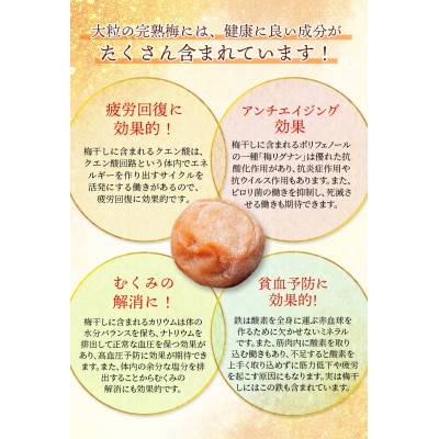 訳あり やま梅農園の南高梅白梅干し1.25kg【ymu004】
