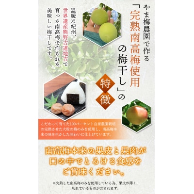 訳あり やま梅農園の南高梅白梅干し1.25kg【ymu004】
