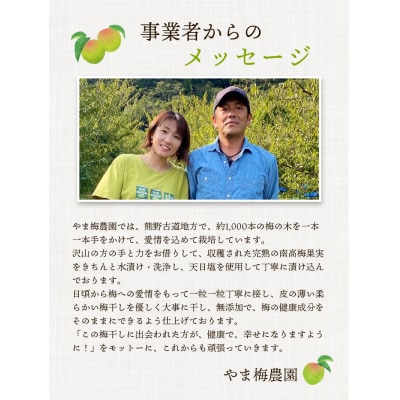 訳あり やま梅農園の南高梅白梅干し1.25kg【ymu004】