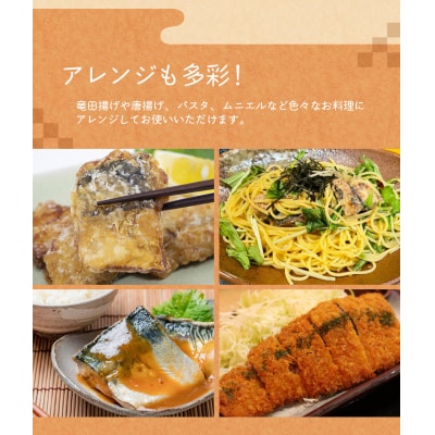 骨なし 無添加 塩さば 切身 60g × 12枚 (4枚入り3セット)【nss507B】