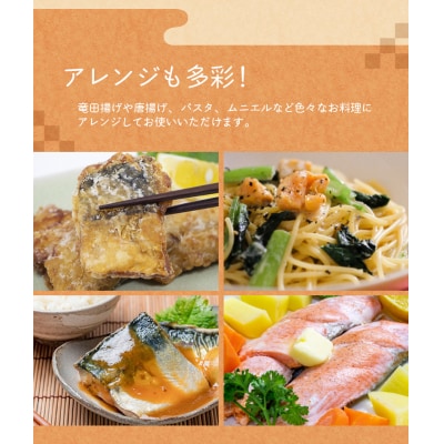骨なし 無添加 銀シャケ切身と塩さばのセット!合計8枚 おまけ付き【nss509】