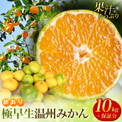 訳あり 極早生温州みかん 約10kg+傷み保証分400g 2S～3Lサイズおまかせ【njb692】