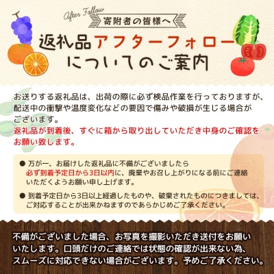 訳あり 極早生温州みかん 約10kg+傷み保証分400g 2S～3Lサイズおまかせ【njb692A】