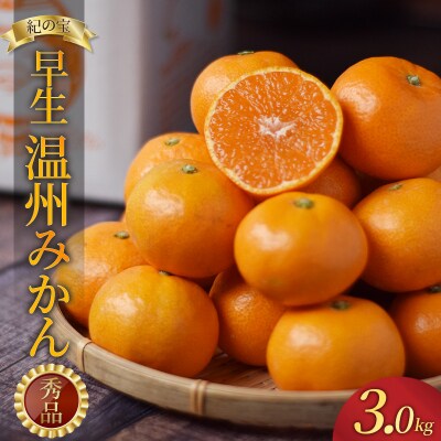 たにぐち農園早生温州みかん(マルチ栽培)　3kg【11月中旬～12月中旬発送】【mtn101A】