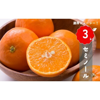 【先行受付】橋本農園の セミノール 3kg 【3月中旬～4月中旬に発送】【mht016】