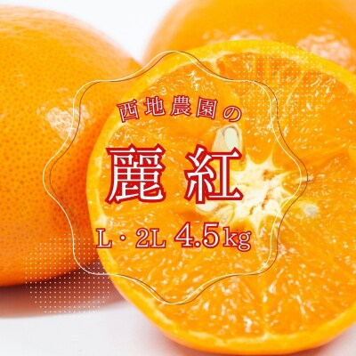 西地農園の麗紅(れいこう) 4.5kg L・2L【2月初旬～順次発送】【mnd007A】