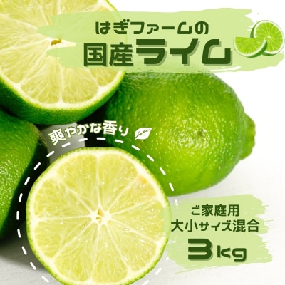 ご家庭用 はぎファームの国産ライム3kg【2025年8月下旬頃～発送】【hgf006】