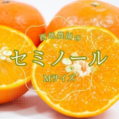 Mサイズ 西地農園のセミノール 4.5kg【3月中旬～順次発送】【mnd010】