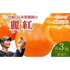 訳あり 石本果樹園の美味しい麗紅 約3kg【2026年2月中旬～3月中旬に発送】【min018】