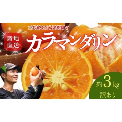 訳あり 石本果樹園の美味しいカラ・マンダリン 約3kg【4月中旬～5月中旬発送】【min021】