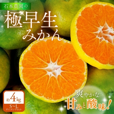 石本農園の極早生みかんS~Lサイズいずれか約4kg【9月中旬から順次発送】【mis020】