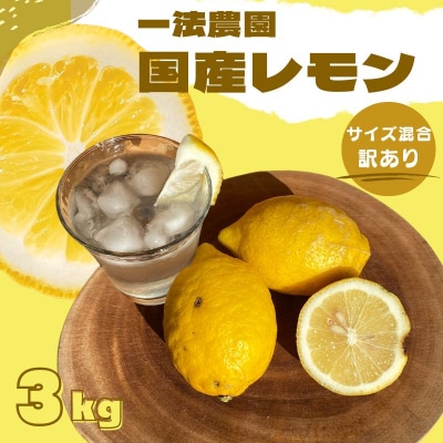 一法農園の 国産レモン サイズ混合 3kg(15個前後) 訳あり ご家庭用【mkz019】