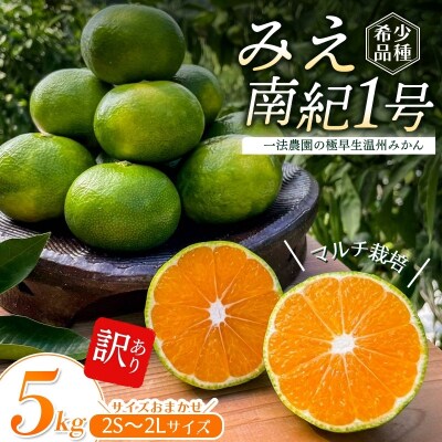 【先行予約】極早生温州みかん2S-2Lサイズ混合5kgご家庭用訳ありマルチ栽培【mkz017A】