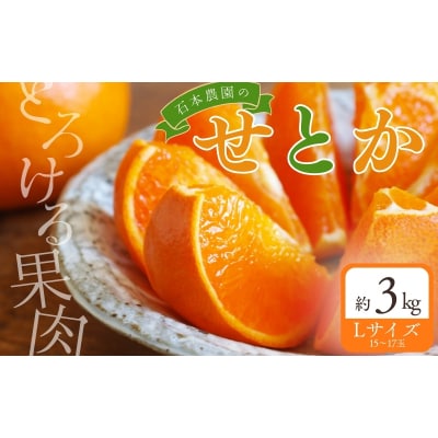 Lサイズ 15～17玉 石本農園のハウスせとか 約3kg【mis022】