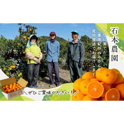 Lサイズ 15～17玉 石本農園のハウスせとか 約3kg【mis022】