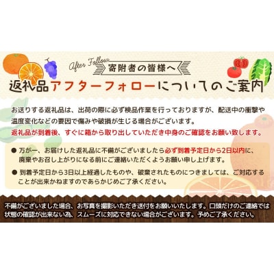 Lサイズ 15～17玉 石本農園のハウスせとか 約3kg【mis022】