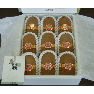 【先行受付2025年11月下旬～発送】【香川県共通返礼品】香緑キウイ約1.3kg　化粧箱　大玉厳選!
