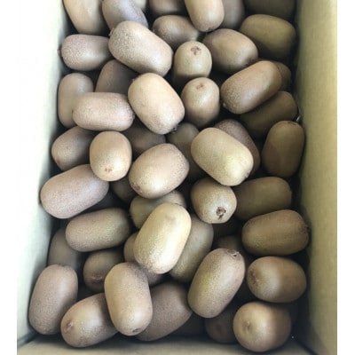 【香川県共通返礼品】さぬきキウイっこ 約1kg