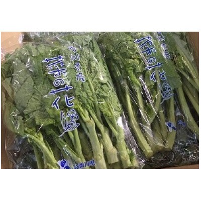 菜の花(袋入り) 約2kg