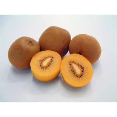 【香川県共通返礼品】さぬきゴールドキウイ 約1kg