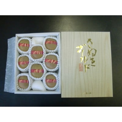 【香川県共通返礼品】さぬきゴールドキウイ 約1kg