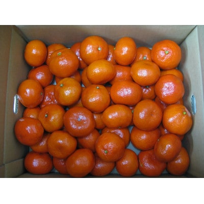 【香川県共通返礼品】小原紅早生みかん 約4.5kg
