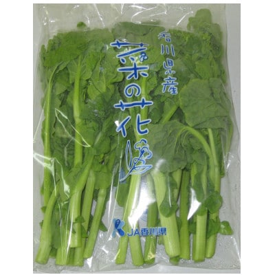 菜の花(パック入り)約1.2kg