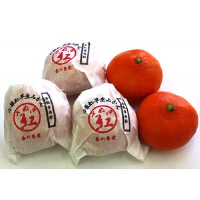 【先行予約2027年1月～2月順次発送】越冬小原紅早生みかん(個包装) 約2kg