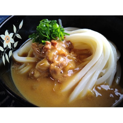 特製カレーうどんつゆ入り狸屋讃岐うどん大満足セット11人前　4種のつゆ