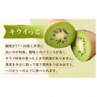 【ふるさと納税】【香川県共通返礼品】　こつぶでちゅるん　さぬきキウイっこ　1.8kg