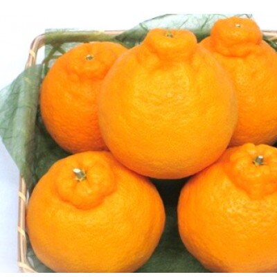 【ふるさと納税】【香川県共通返礼品】　デコポン　瀬戸内の果汁溢れるみかん　ハウスデコポン約2.7kg