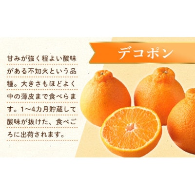 【ふるさと納税】【香川県共通返礼品】デコポン　瀬戸内の果汁溢れるみかん　不知火(デコポン)約5kg