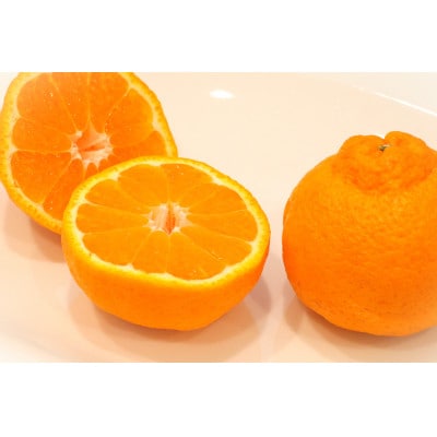 【ふるさと納税】【香川県共通返礼品】デコポン　瀬戸内の果汁溢れるみかん　不知火(デコポン)約5kg
