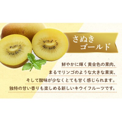 【発送月固定定期便】香川県・三豊市共通返礼品　フルーツ旬の果物　Aセット全3回