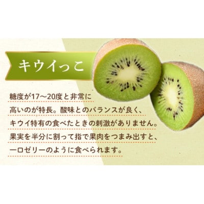 【発送月固定定期便】香川県・三豊市共通返礼品　フルーツ旬の果物　Oセット全2回