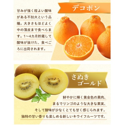 【発送月固定定期便】香川県・三豊市共通返礼品　フルーツ旬の果物　Bセット全5回