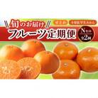 【発送月固定定期便】香川県・三豊市共通返礼品　フルーツ旬の果物　Nセット全2回