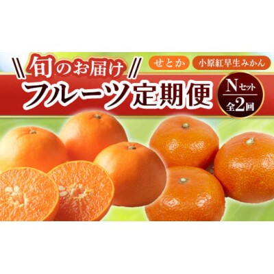 【発送月固定定期便】香川県・三豊市共通返礼品　フルーツ旬の果物　Nセット全2回