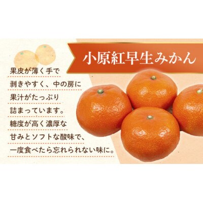 【発送月固定定期便】香川県　フルーツ旬の果物　Jセット全2回