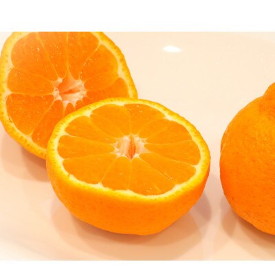 【発送月固定定期便】香川県・三豊市共通返礼品　フルーツ旬の果物　Cセット全5回