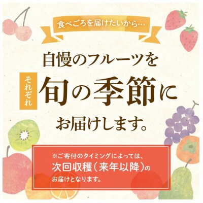 【発送月固定定期便】香川県・三豊市共通返礼品　フルーツ旬の果物　Cセット全3回