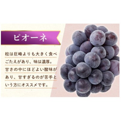【発送月固定定期便】香川県・三豊市共通返礼品　フルーツ旬の果物　Fセット全2回